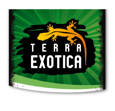 Terra Exotica | dev Startseite 